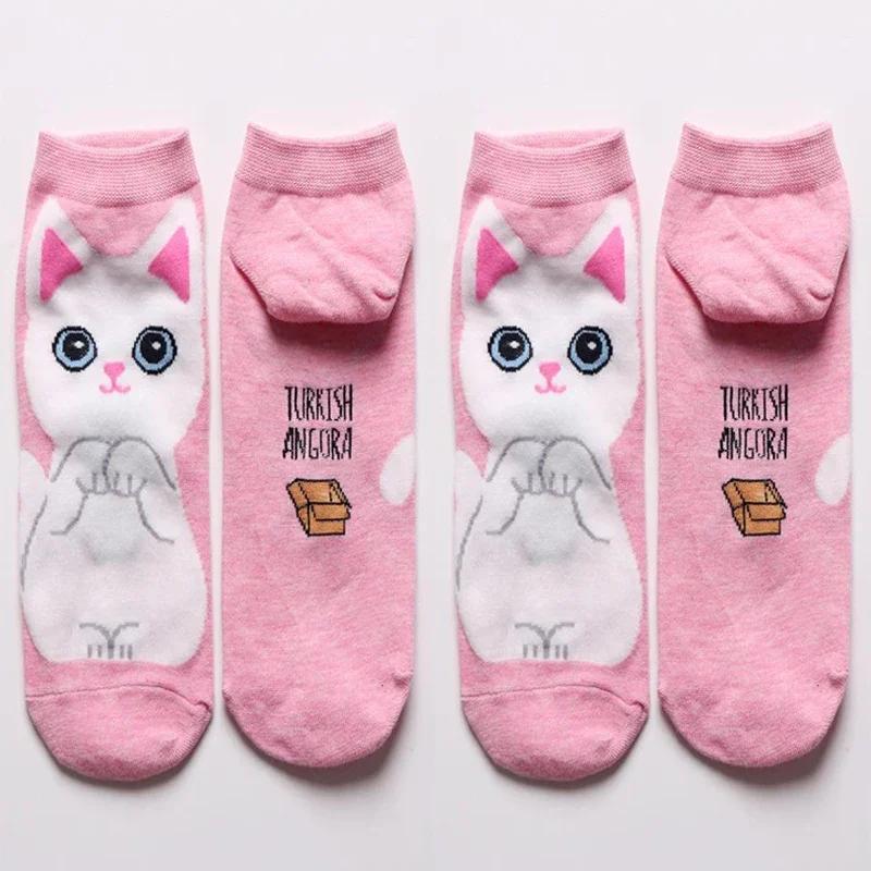

Милые мультяшные носки Kawaii, осенне-зимние женские модные цветные носки с изображением кошек и собак, женские забавные повседневные корейские домашние носки