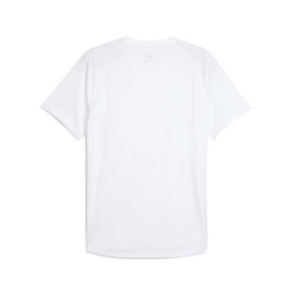 Puma Men S Running ShorT Sleeve T ShirT M Run velociTy Tee Poly