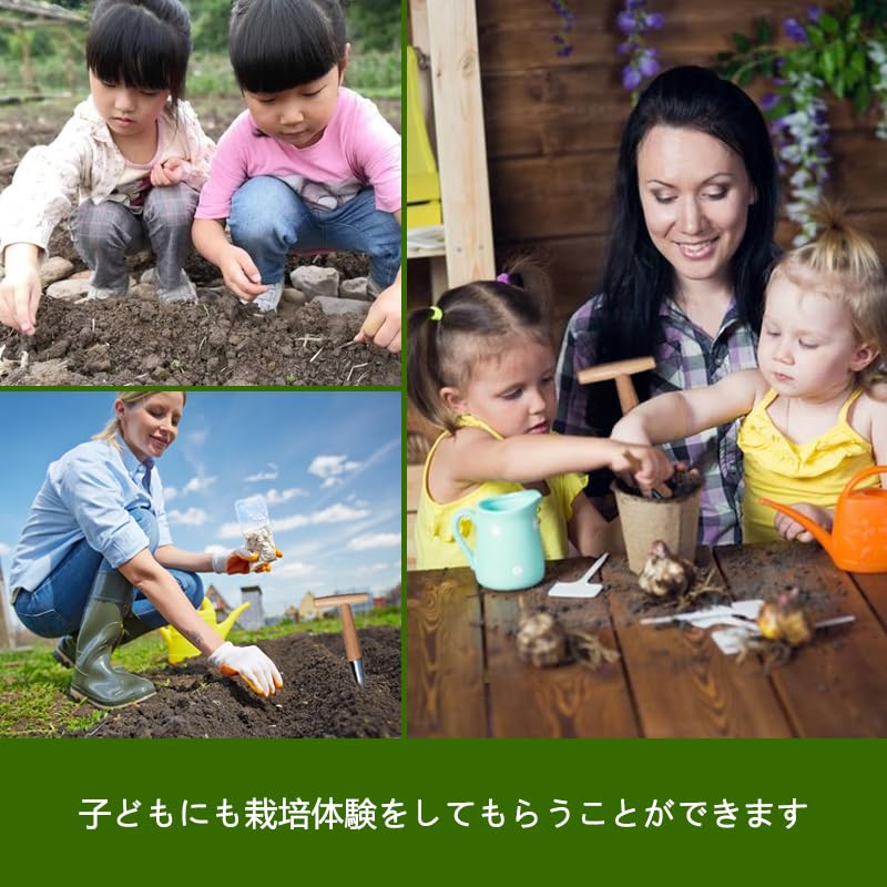 Handheld Hole Digger with Wooden Seedling Hole Hole Soil Digging Home Gardening Tool for and Garden with Wooden Handle and Stainless 1 Piece Handle,