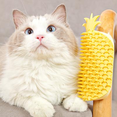 Samodzielny groomer dla kota w kształcie ananasa Kocia szczotka do masażu narożnika ściany z kocimiętką Kot