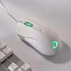 Dareu LM113 Wireless Office Mouse