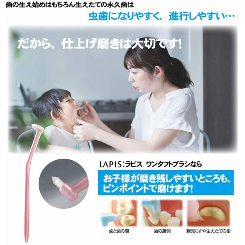 L APIS: Happy Color Children's Toothbrush, 11 Colors, 12 Pencils, Animal Design, Recommended for Elementary School Students, Gift, Made in Japan, Juni