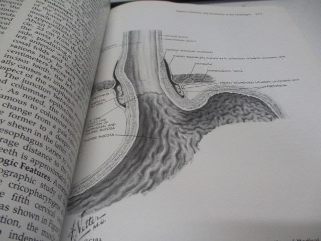 [USED] Hospital Disposal Book Gastroenterology 2 Fourth Foreign Book