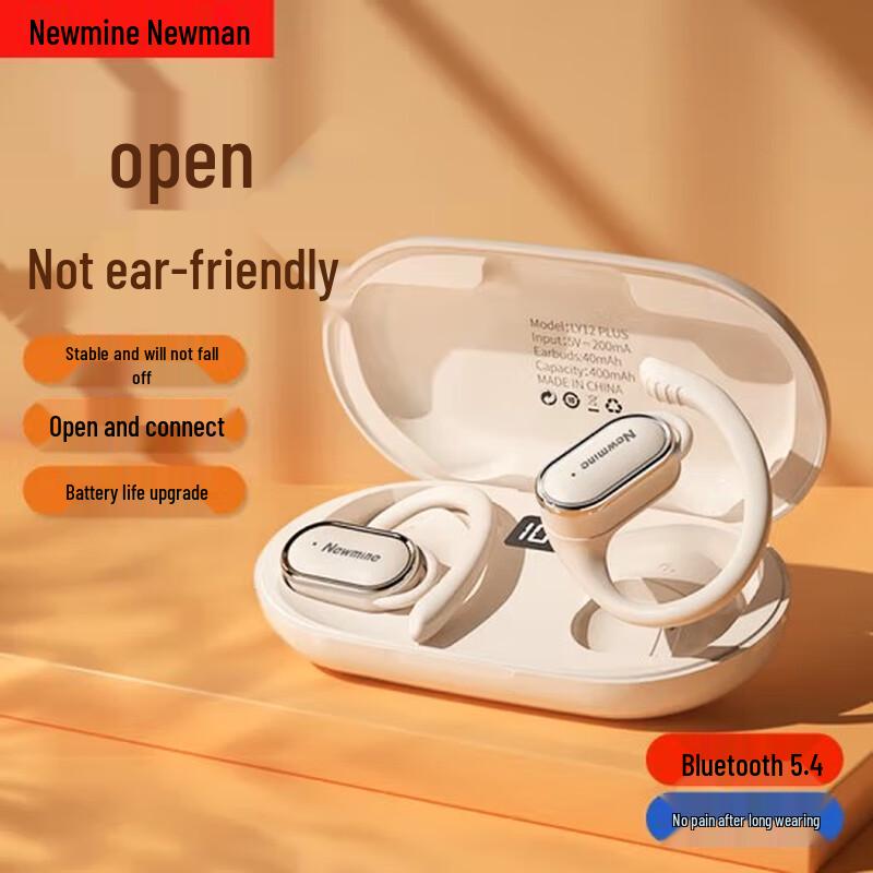 Newman LY12PLUS Open-Ear True Wireless Ear Hook Headphones