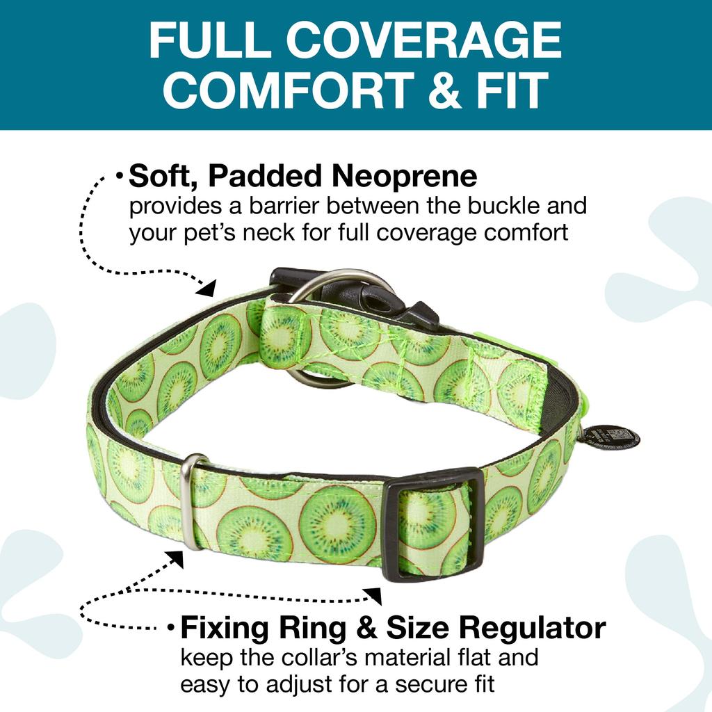 ROOKCRAN Max Molly Medium Collar with Kiwi Stylish and Cute for 115858 & Design, Training, Pets,