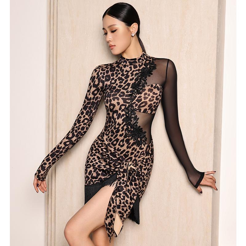 Adult Latin Dance Dress for Women Long Sleeves Leotard Tassels Skirt Set Cha Cha Ballroom Dancing Costume Practice Dancewear