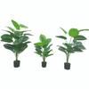 Large Nordic Fake Green Plant Ornament - Potted Green Apple Prayer Plant with Hanging Bell for Floor Decoration