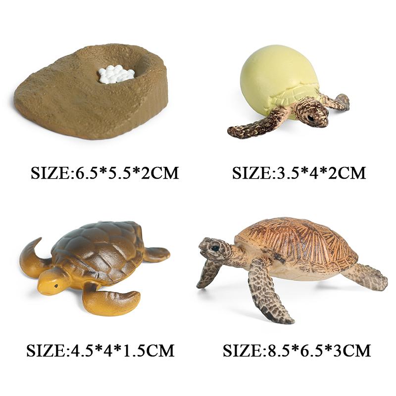 Oenux Ocean Animals Leatherback Tortoise Turtle Growth Cycle Sea Life Model Figurines Action Figures PVC Education Kid Toy Gift