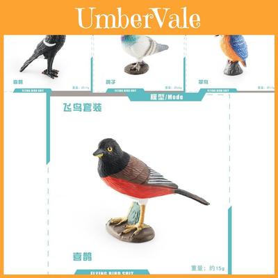 Colección de Modelos de Pájaros Realistas de PVC Incluye Paloma Urraca Cucú Gorriones Para Decoración