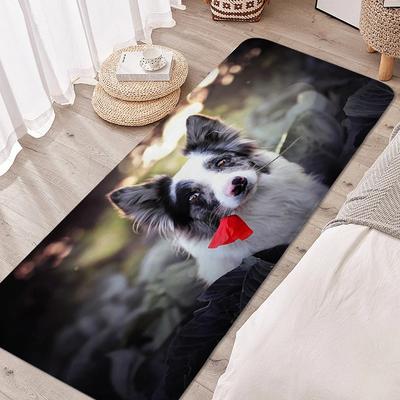 Digitaldruck Teppich für Schlafzimmer Border Collie Niedlich Outdoor Eingang Fußmatte Nützliche Dinge für Zuhause Flur Eingang Fußmatte