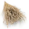 Lepidium (Lepidium Sativum) - Naturalne