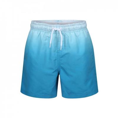 RIPT Essentials Mens Dip Dye Swim Shorts