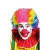 Perruque - WIDMANN - Clown multicolore - Mixte - Adulte - Intérieur