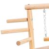 Bird Activity Center with Perch and Swing for Small Parrots