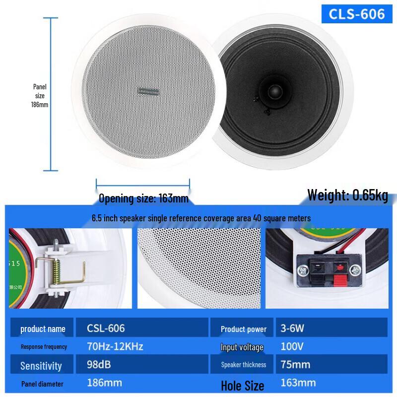 LINGSHENG 6.5-inch Recessed Ceiling Speaker CN plug (adapter included)