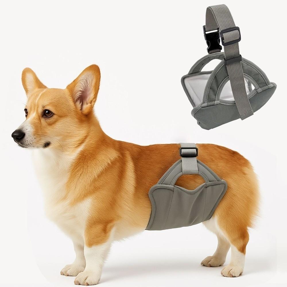 Leak Proof Male Dog Physiological Pants Washable Breathable Pet Sanitary Pants Reusable Adjustable Dog Diapers Estrus Period