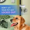 Baby Cartoon Safety   Door Card Child Safety Door Clamp Baby Anti Pinch Hand Animal