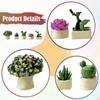 1/64 Miniature Bonsai Plant Mini Potted Flower ,Doll House Flowerpot,Dollhouse Plants