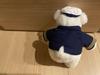 [USED] Teddy bear, bear, stuffed toy, captain