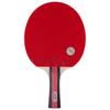 Double Fish 2-Star Entry-Level Shakehand Table Tennis Racket
