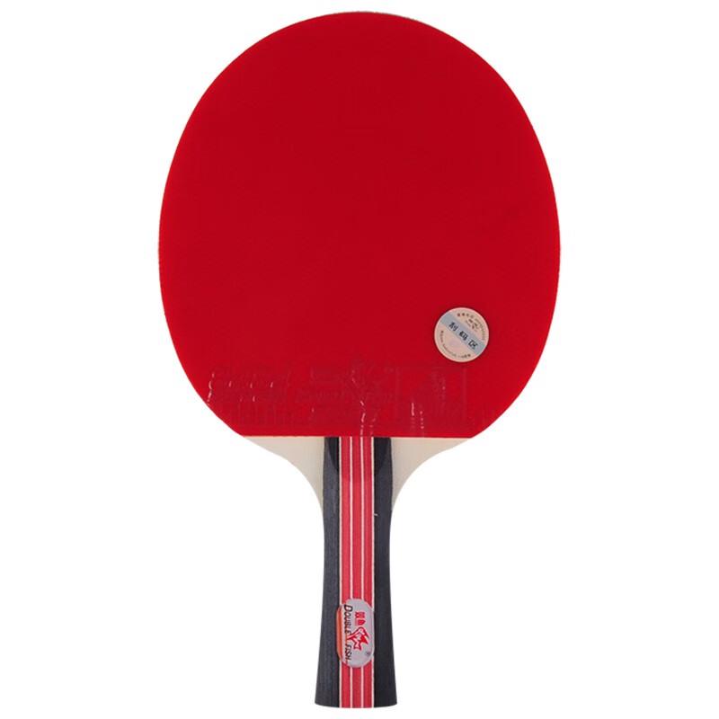 Double Fish 2-Star Entry-Level Shakehand Table Tennis Racket
