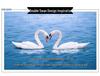 Crystal Swan Car Air Freshener - Deluxe Interior Ornament Set for Women