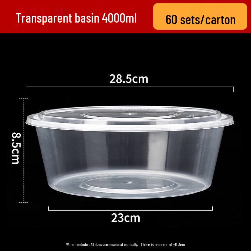 Disposable Transparent Plastic Takeaway Container