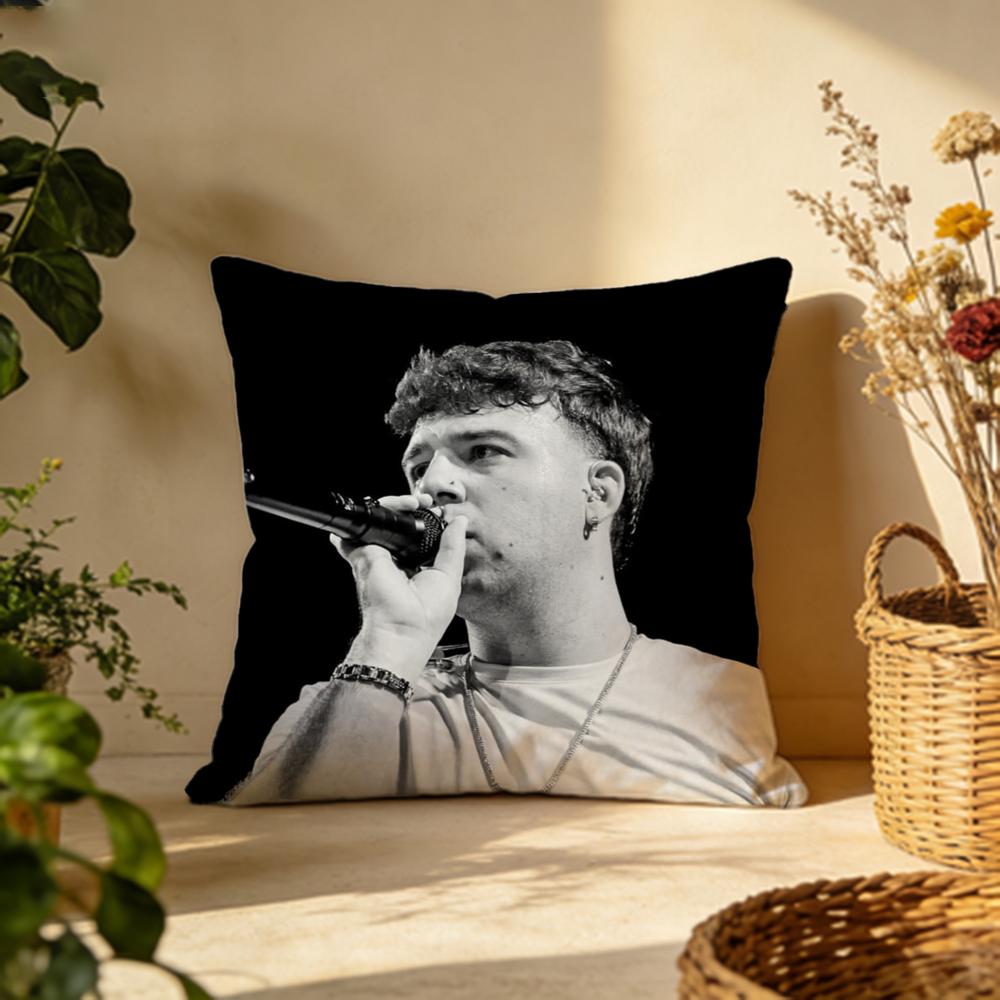 Trendy QQuevedoer Cushion Cover Versatile DoubleSided Pillow Case Fit for Sofa Bed Car  Daily Decor