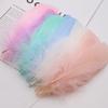 50Pcs Color Full Soft Big Floating Feather Goose Feather Diy Color Feather Headdress Craft Decorative Material