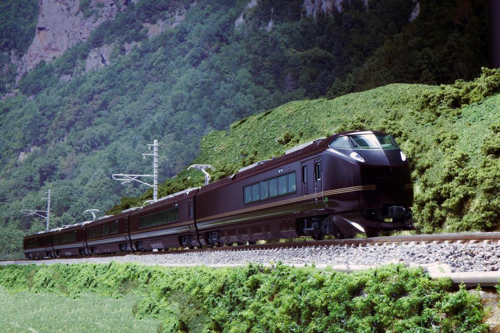 KATO N gauge E655 series Nagomi set railway model train (Japanese) 5-car 10-1991