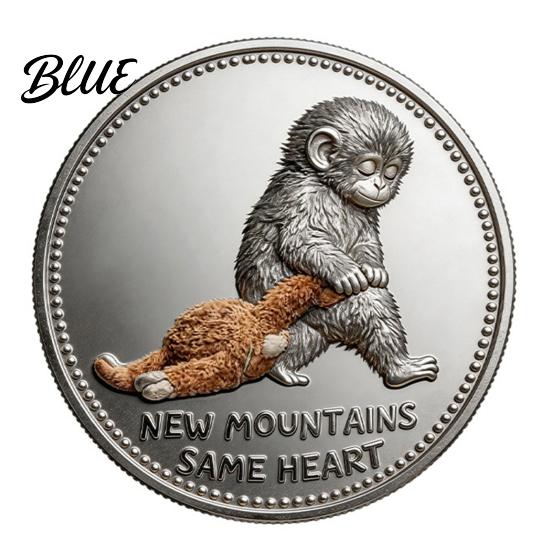 Positive Affirmation Coin Emotional Support Inspirational Monkey Challenge Pocket Encouragement Token Double‑Sided Collectible for Friends