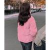 New Autumn and Winter Women's Short Bread Clothes Loose Korean Version Stand-up Collar Thickened Cotton-padded Jacket