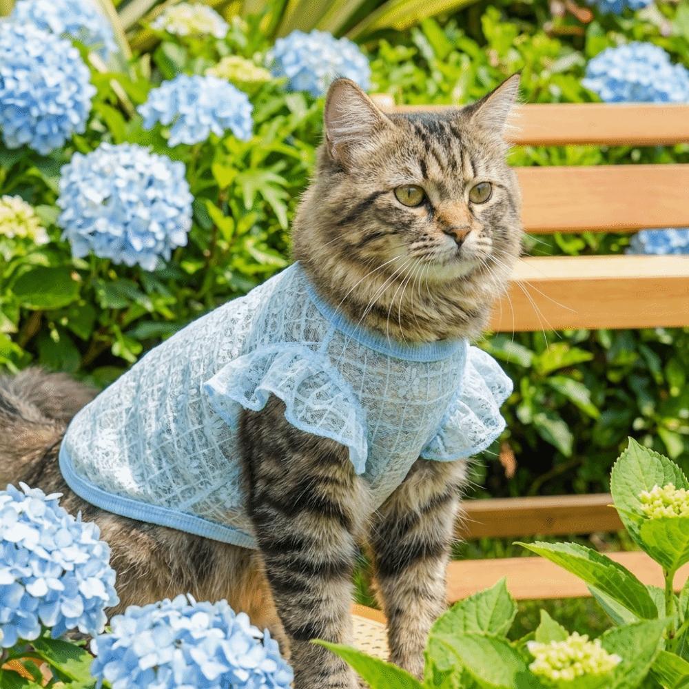 Breathable Dog Cooling Vest Thin Mesh Dog Summer Clothes Sweet Pet T-shirt  Spring Season