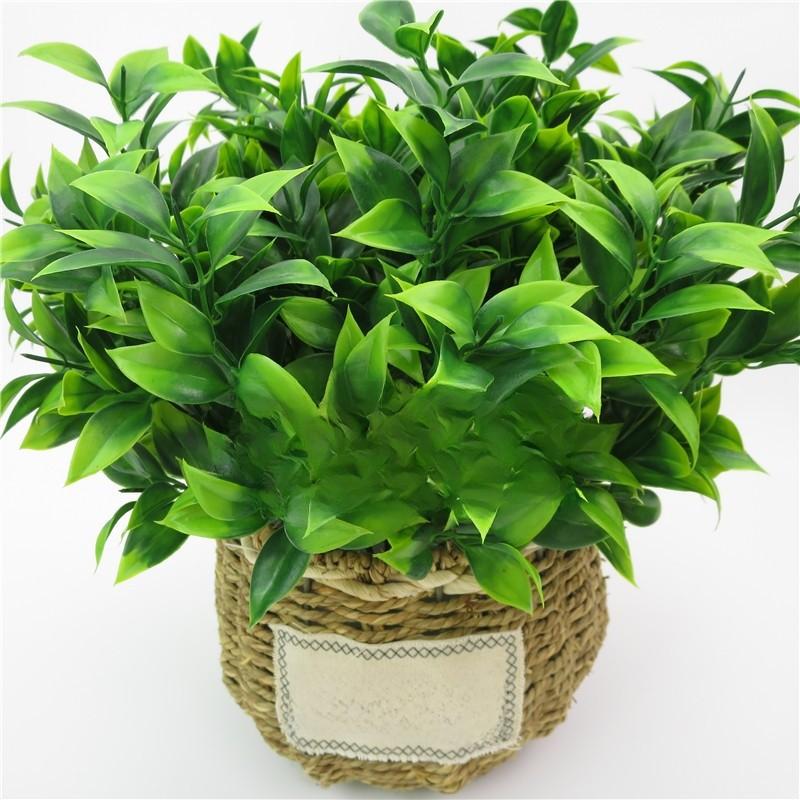 Reticulata Plastic Citrus Blanco Leaf For Garden Landscape Design Decor Indoor
