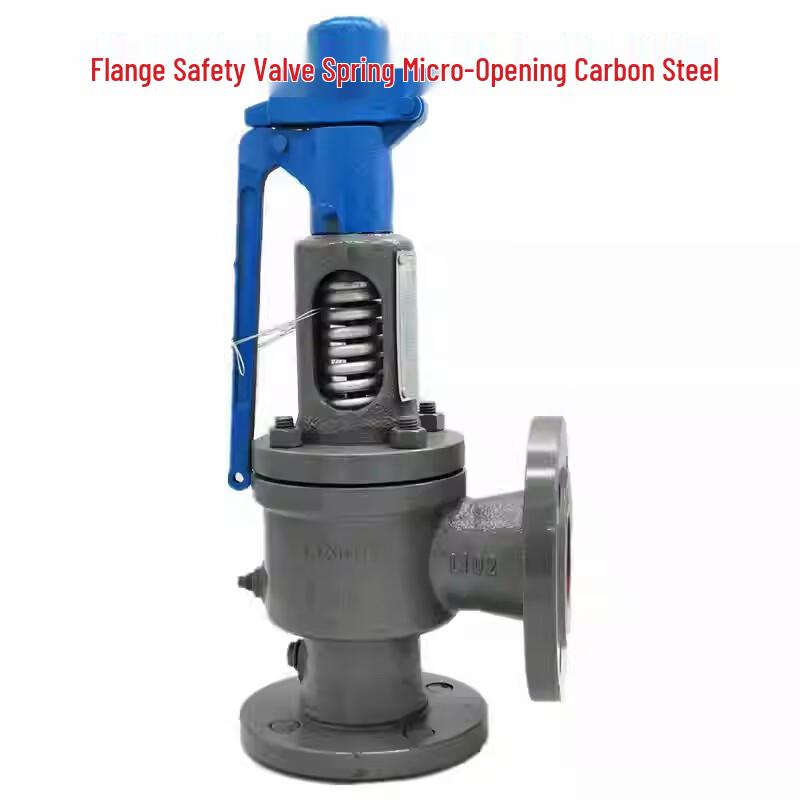 Guanshi Spring-Loaded Flange Safety Valve
