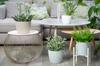 Taupe Flowerpot 18x15 Cm Decorative Plastic Cover Jumper