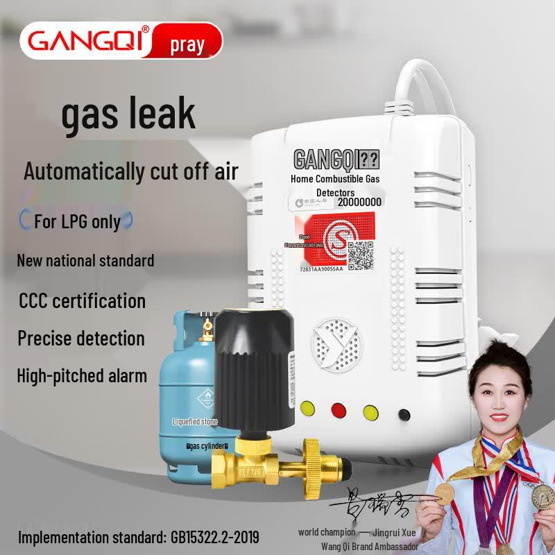 GANGQI Smart Gas Leak Detector with Automatic Shut-off Valve