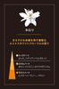 Neroli Fragrance Refill 250ml