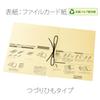 Plus Flat File Expandable Binding String Type Replacement 10 X 10 A4, Spine, Senobas, / Cover, Beige, Pieces, FL-023SH, 89-136