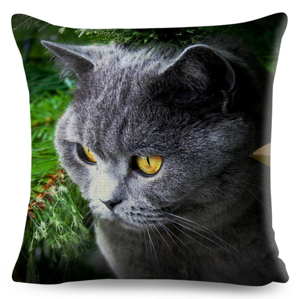 Housse de coussin British Shorthair bleu russe, taie d'oreiller en Polyester, décoration de chat mignon, Animal de compagnie, pour canapé, maison, voiture