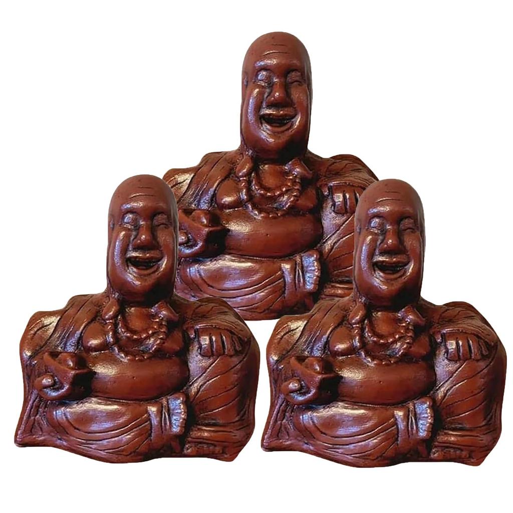 The Buddha Flip | Unexpected Backside, Buddha Ornament,Middle Finger Laughing Buddha Statue, Happy Buddha Statue