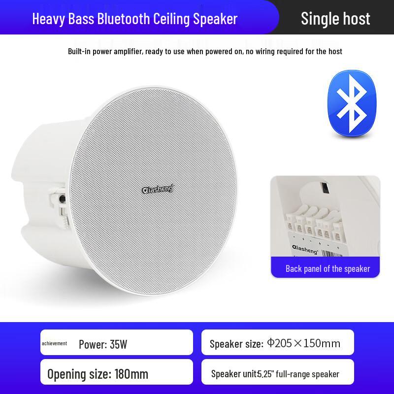 QIASHENG Commercial Bluetooth Ceiling Speaker System