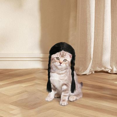 Cosplay Wig for Dogs Festivals Easy To Wear Party Dressing Up Pet Wig Headwear Apparel Toy for Photo Props Small and Medium Dogs