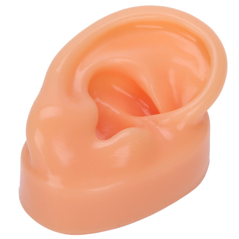 Silicone Right Ear Model Simulation Artificial Ear Display Model for Hearing Aids