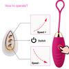 Vibrator Egg Vagina Massager Clitoris Stimulator Wireless Control G Spot Vibration Adult Sex Toy For Women Masturbation