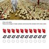 Horizontal Chicken Water Nipples Plastic Automatic Poultry Waterer Kit for Pipe Bucket