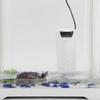 Silent Internal Aquarium Filter Waterfall Turtle Internal Filter 3W Low Level Water Clean Pump