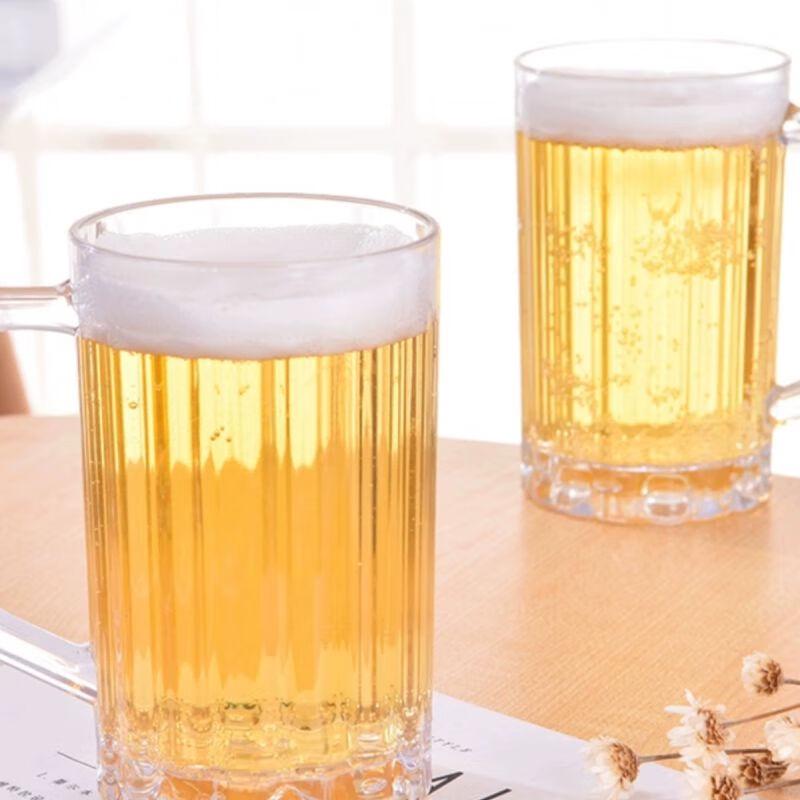 Set of 6 Acrylic Plastic Beer Mugs with Handle