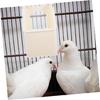 Practical Durable Plastic Hanging Pigeons Feeders for Bird Cages Easyly Installation Clean and Refill Space