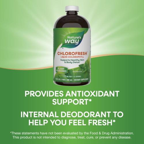 Chlorofresh Liquid Mint 480ml